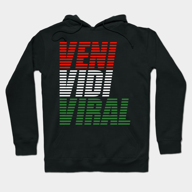 Veni Vidi Viral Hoodie by radeckari25